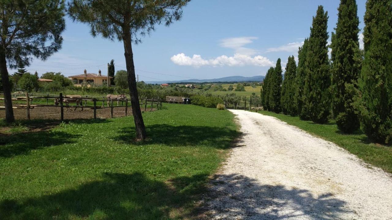 Ferienwohnung Agriturismo Casale San Benedetto Ceri Exterior foto