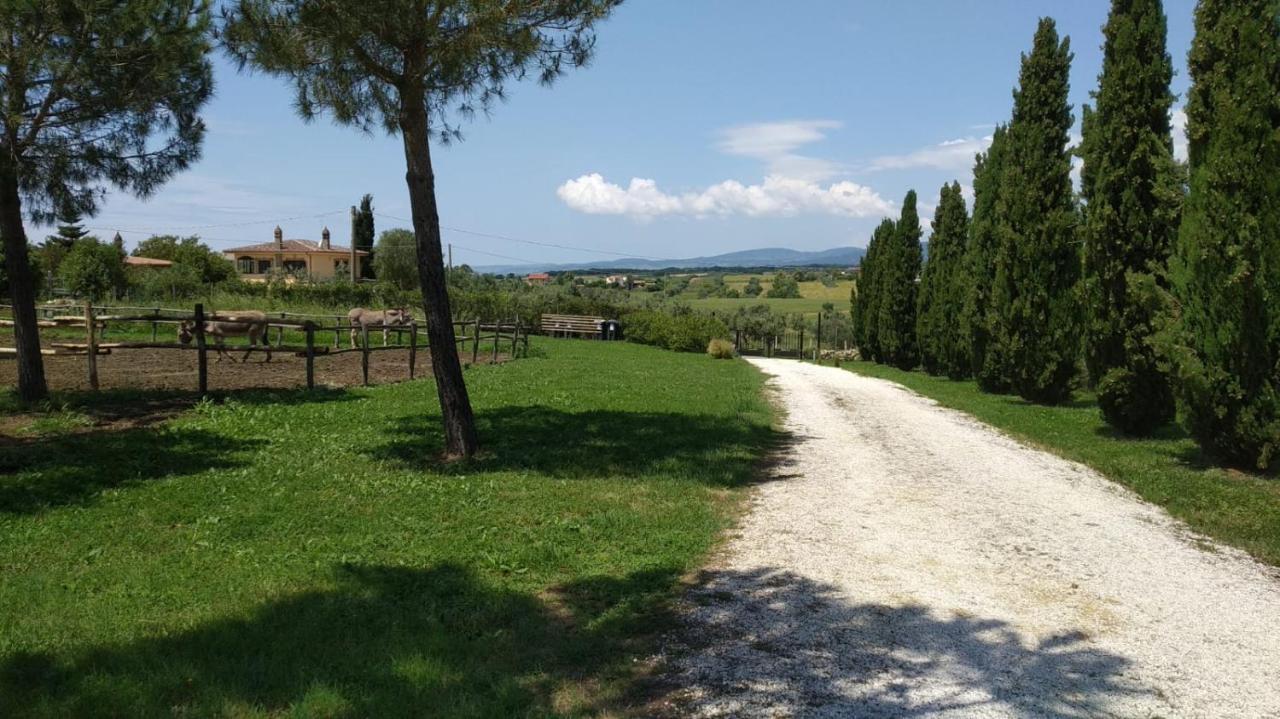 Agriturismo Casale San Benedetto Ceri Exterior foto